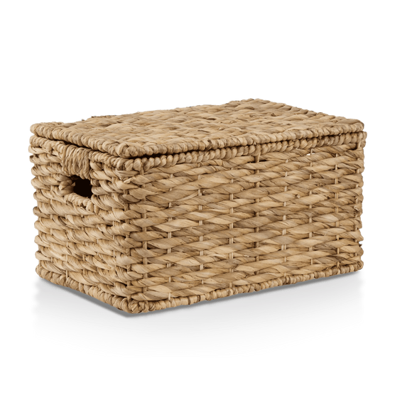 Water Hyacinth Storage Trunk