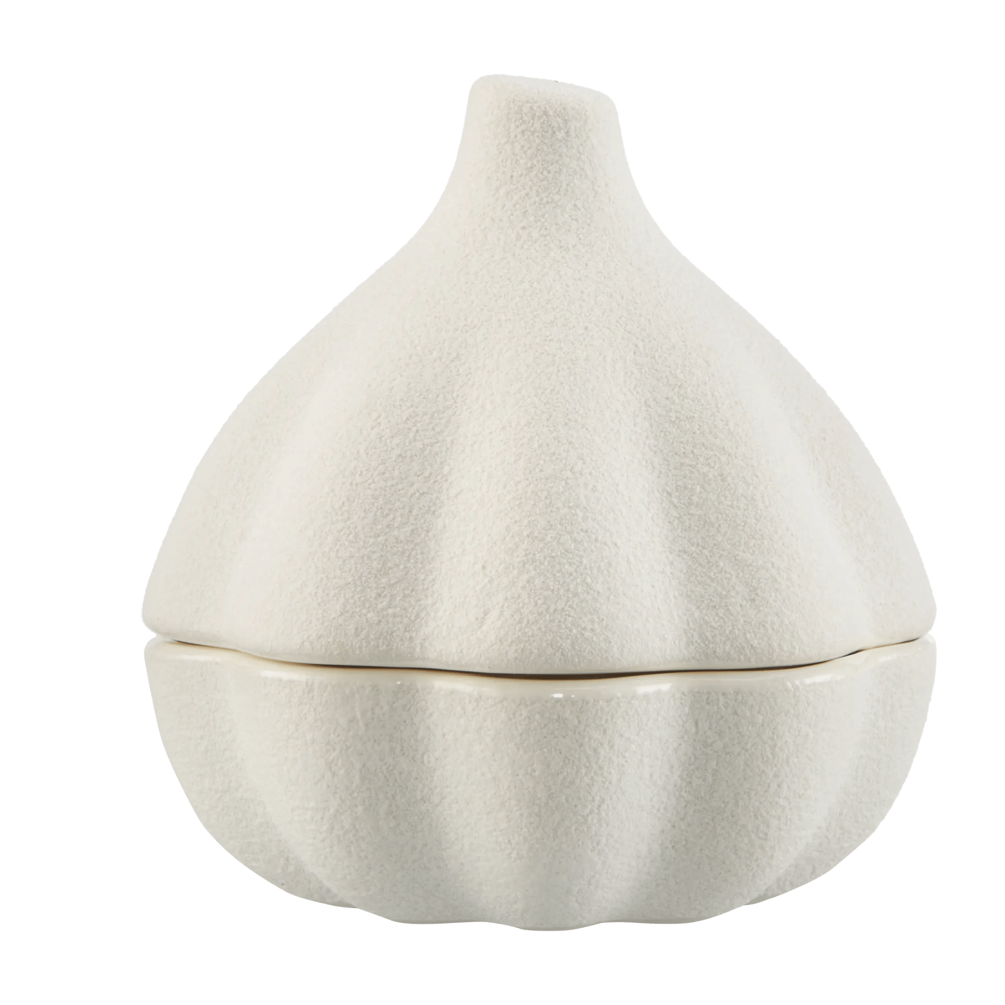 Ceramic Garlic Container